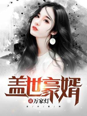 盖世豪婿TXT