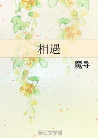 相遇是什么意思