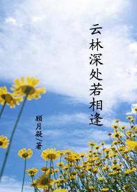 云林深处若相逢
