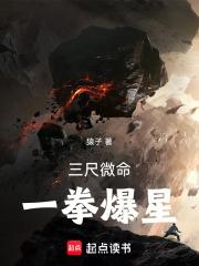 三尺微命一拳爆星