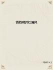 清风枕明月txt